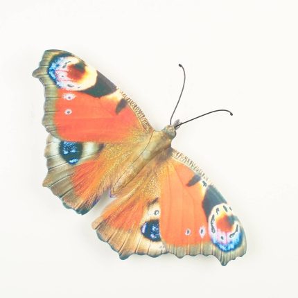 Peacock Butterfly Wall Art – Decorative Metal Ornament